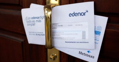 Subsidios de gas y luz: darán 60 días para actualizar los datos de los usuarios