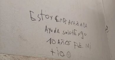 Estoy embarazada, tengo 10 años: el mensaje que apareció en un baño de San Juan y desató una investigación por un posible abuso