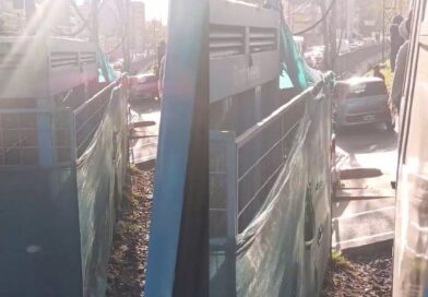 Una formación del tren Sarmiento chocó con un auto en Ramos Mejía: hay demoras y cancelaciones en el servicio