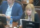 Rascarme el ombligo: diputado desmintió fake pero reveló el particular uso de su birome