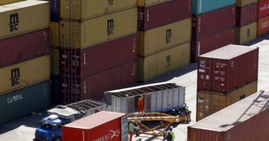 Argentina vuelve a ganar presencia en el comercio global y prevé exportaciones por USD 180.000 millones en 2035